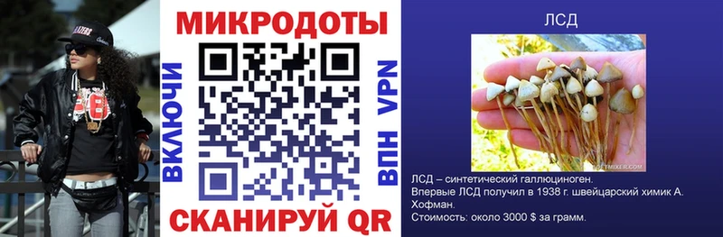 Псилоцибиновые грибы Psilocybine cubensis  hydra tor  Тимашёвск 